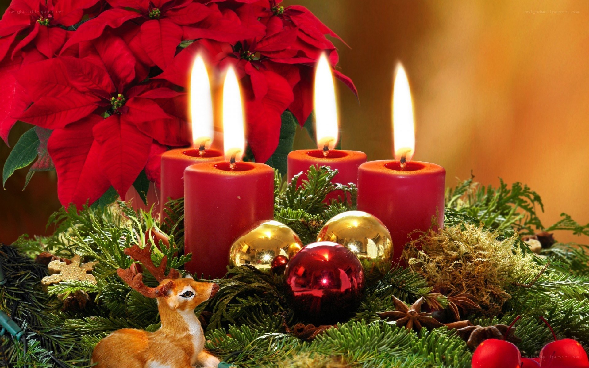 Advent candles with poinsettia