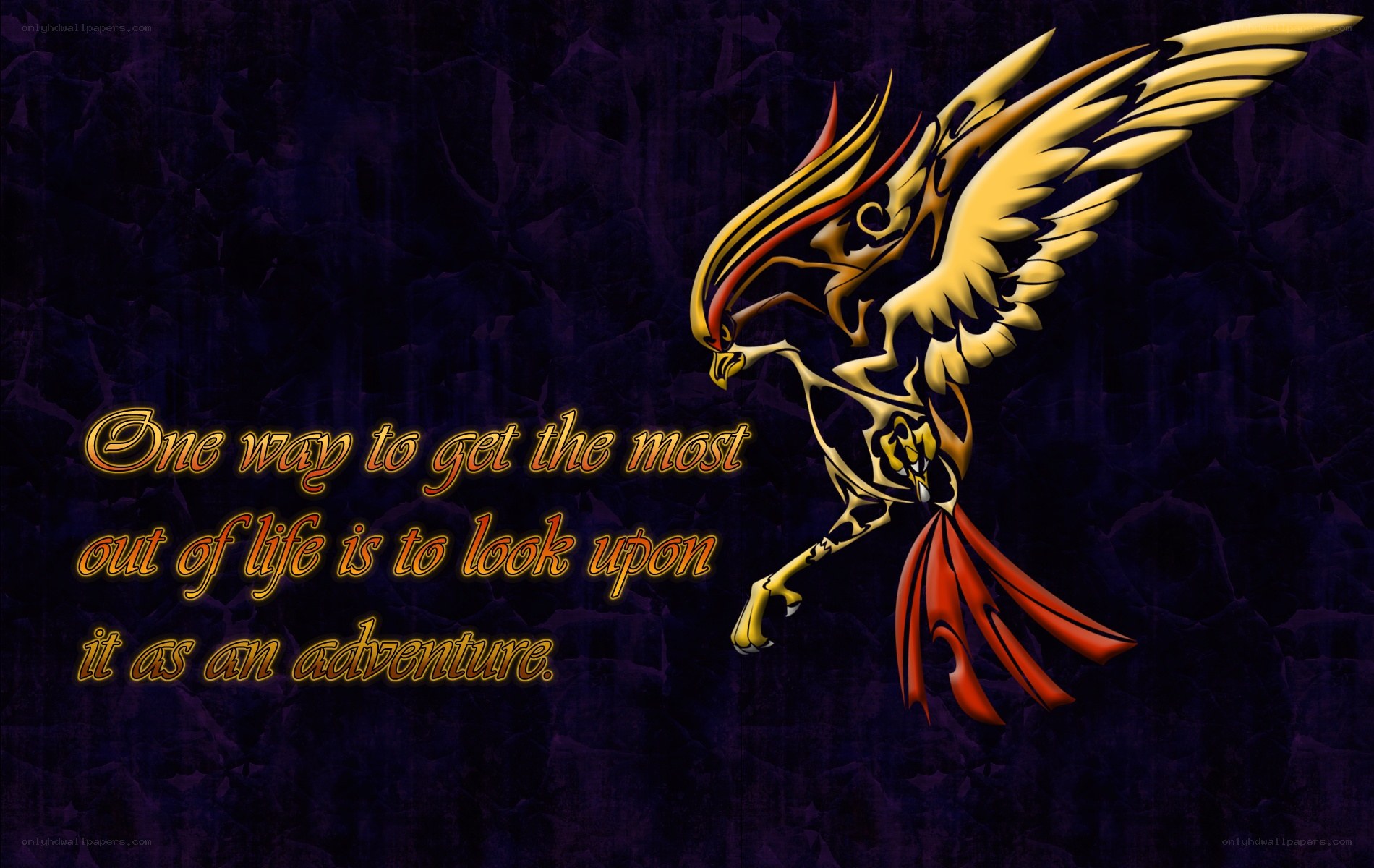Adventure quote with bird art