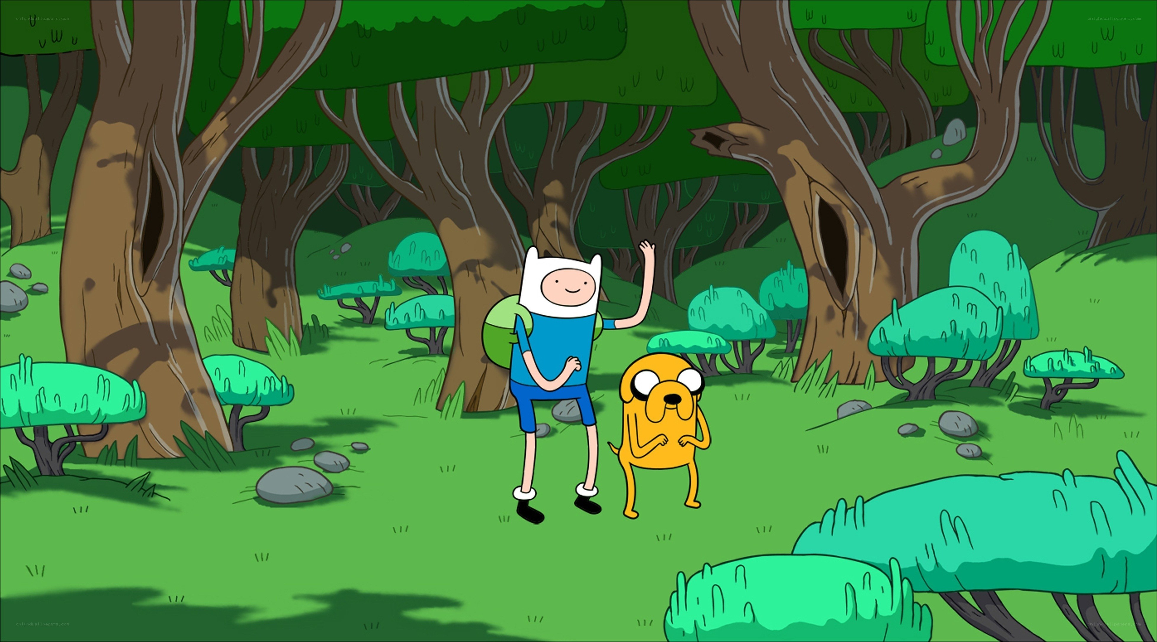 Adventure Time in the forest