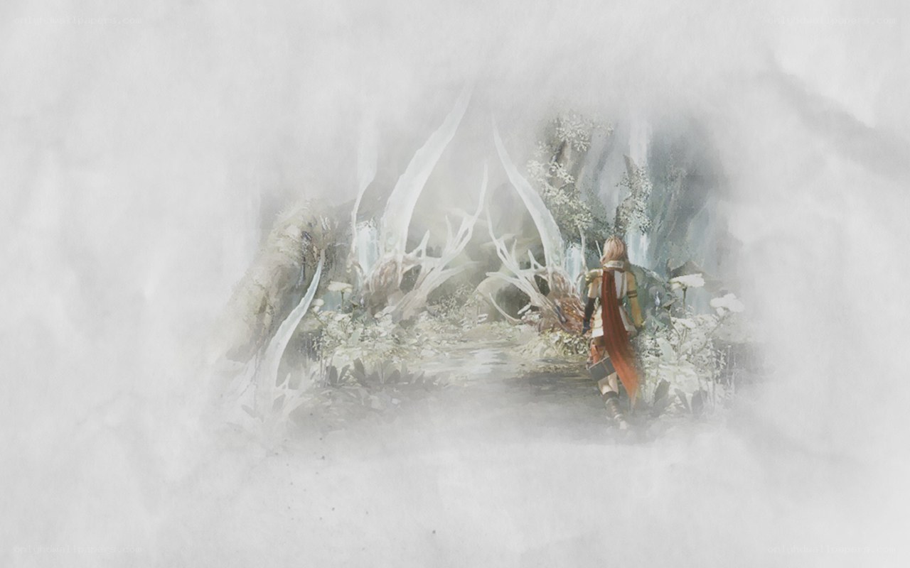 adventurer in a misty forest