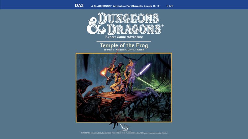 Adventurers Fighting Frogs