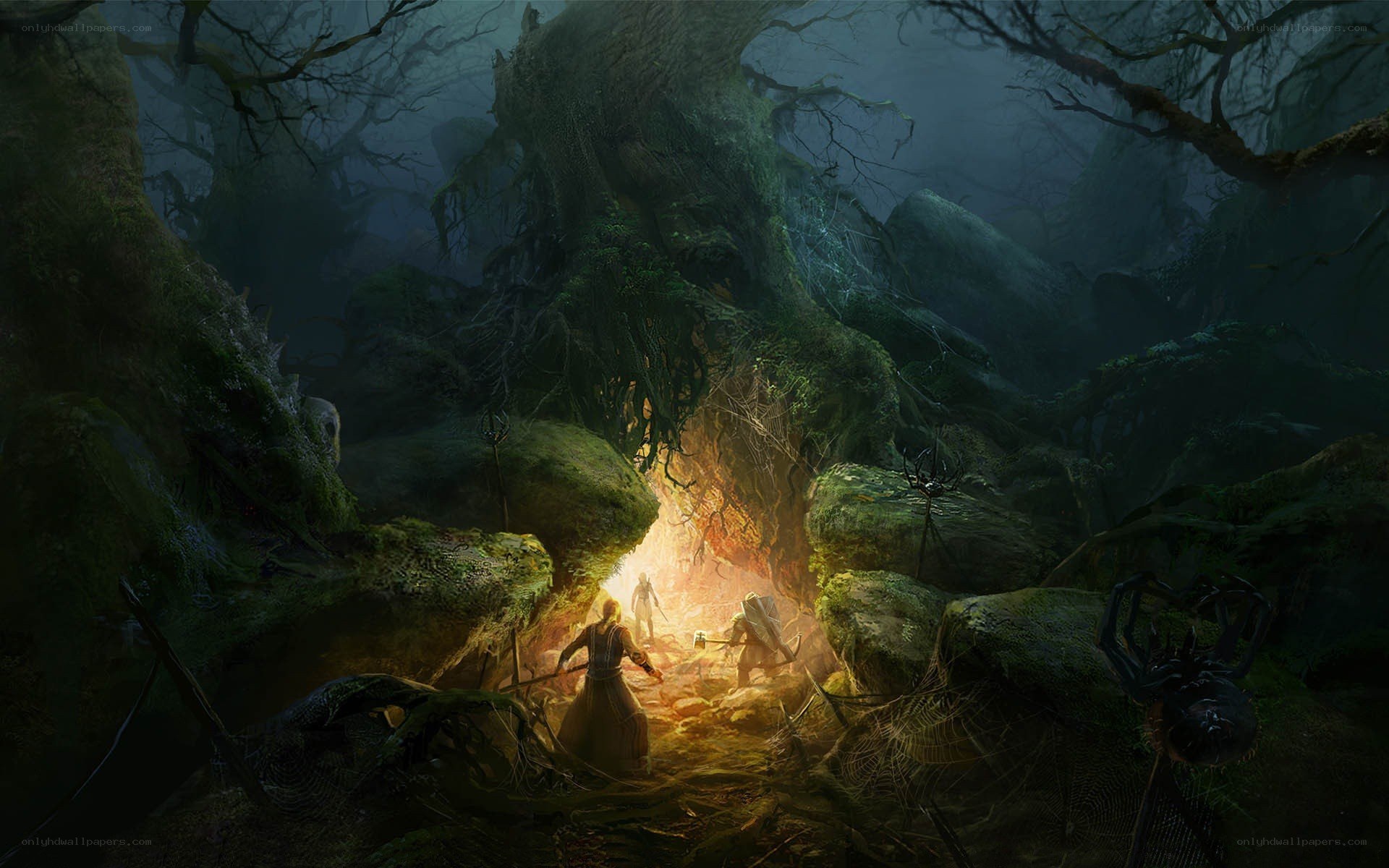 adventurers in a dark forest
