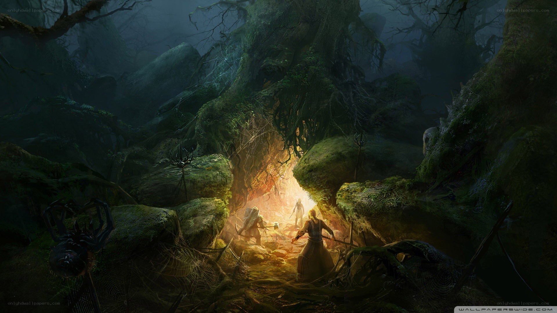 adventurers in a dark forest