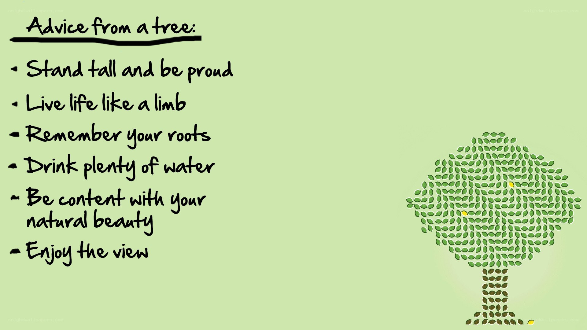 Advice from a tree