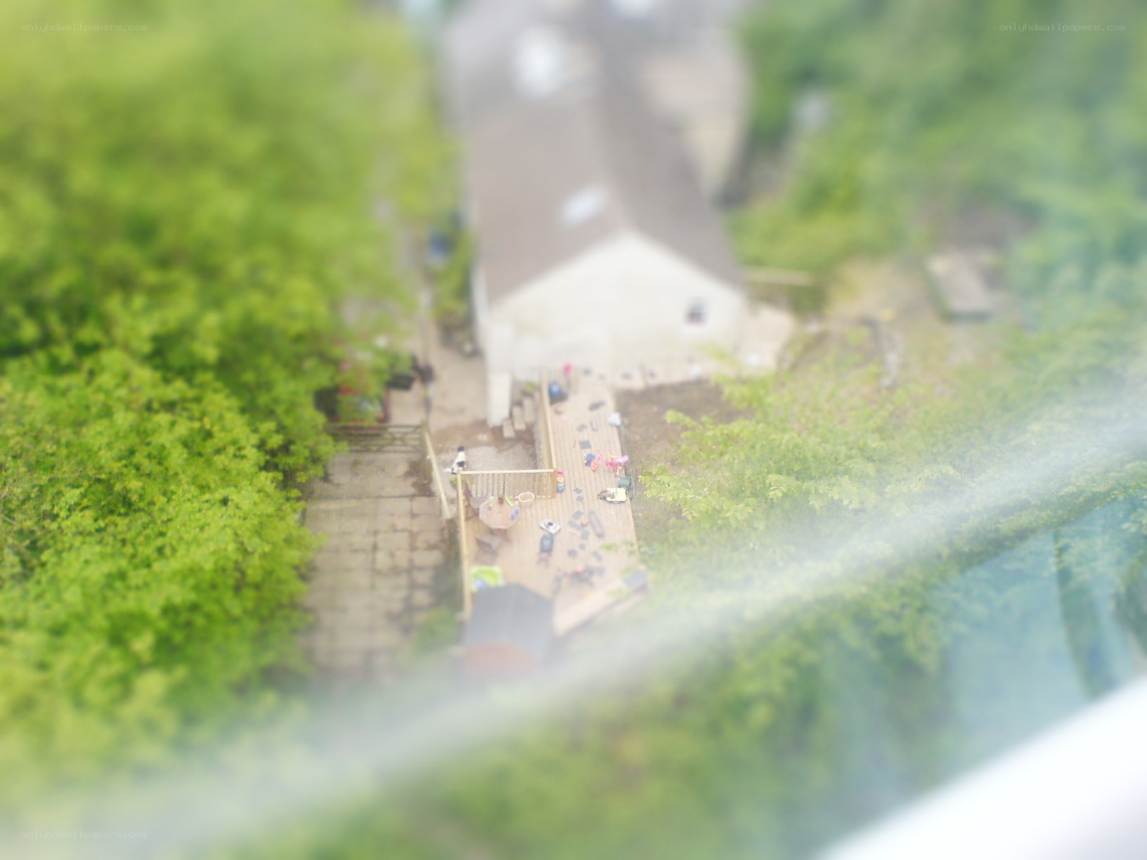 aerial view of a backyard