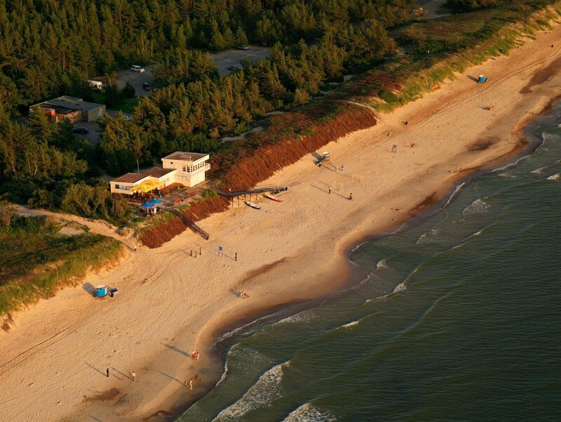 Aerial view of a beach and forest
