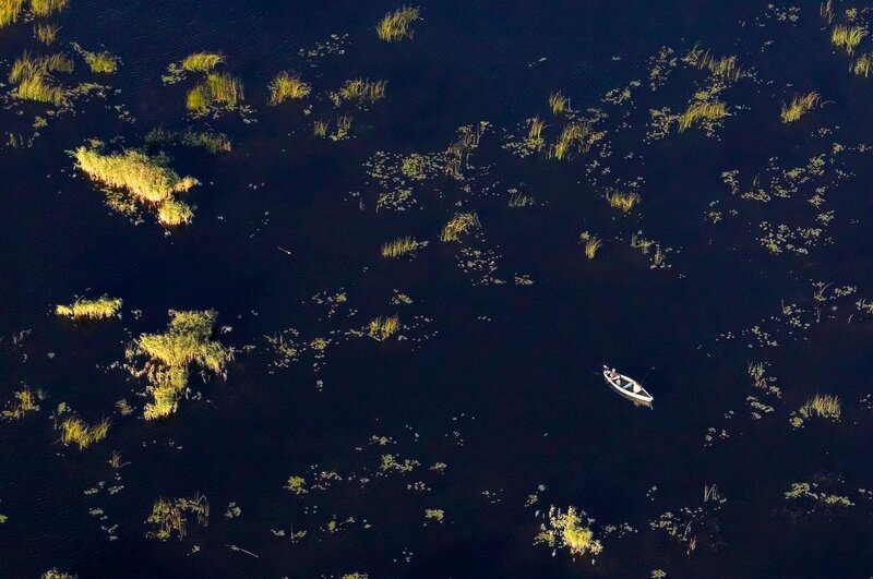 Aerial view of a boat in a marsh