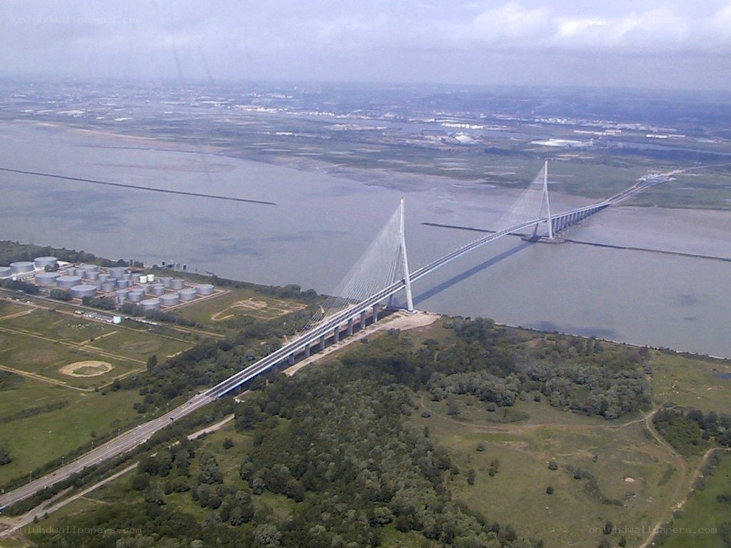 aerial view of a cable-stayed bridge