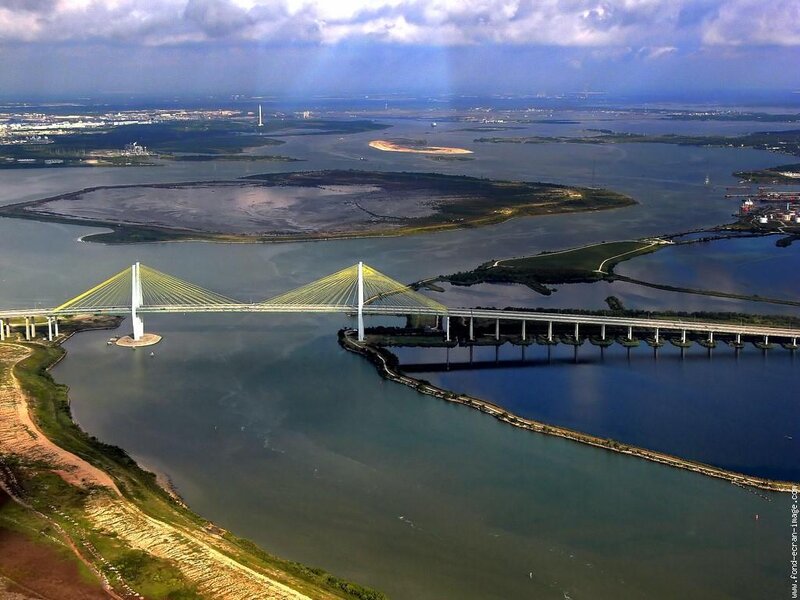 Aerial view of a cable-stayed bridge
