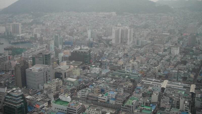 aerial view of a city