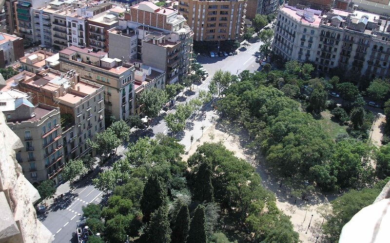 Aerial view of a city park