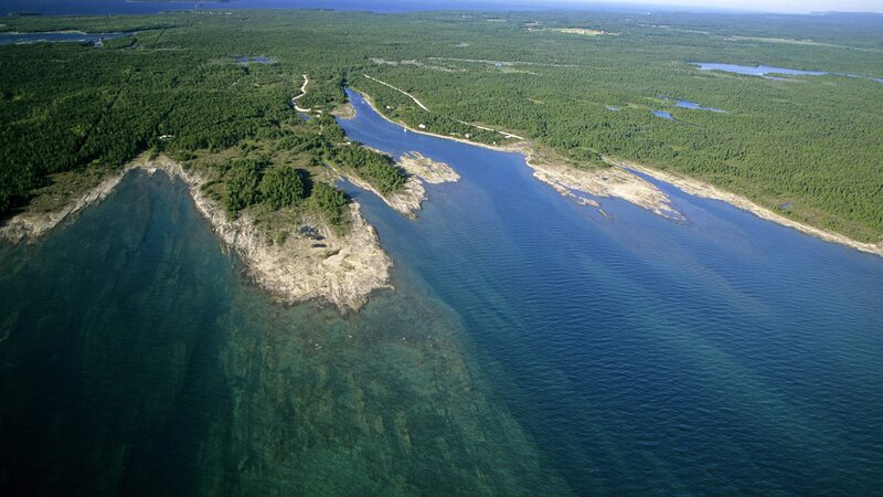 Aerial view of a coastal forest