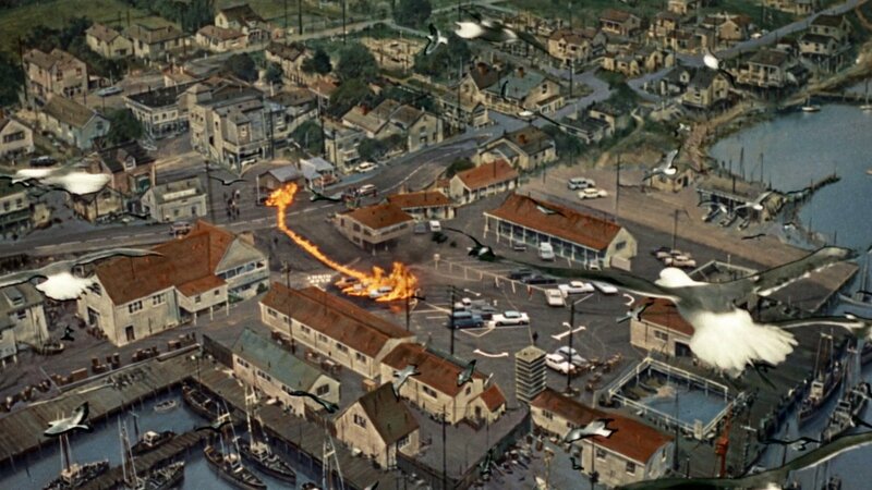 Aerial view of a coastal town fire
