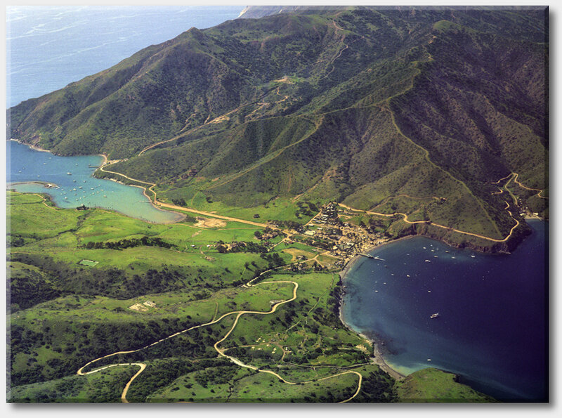 Aerial view of a coastal village