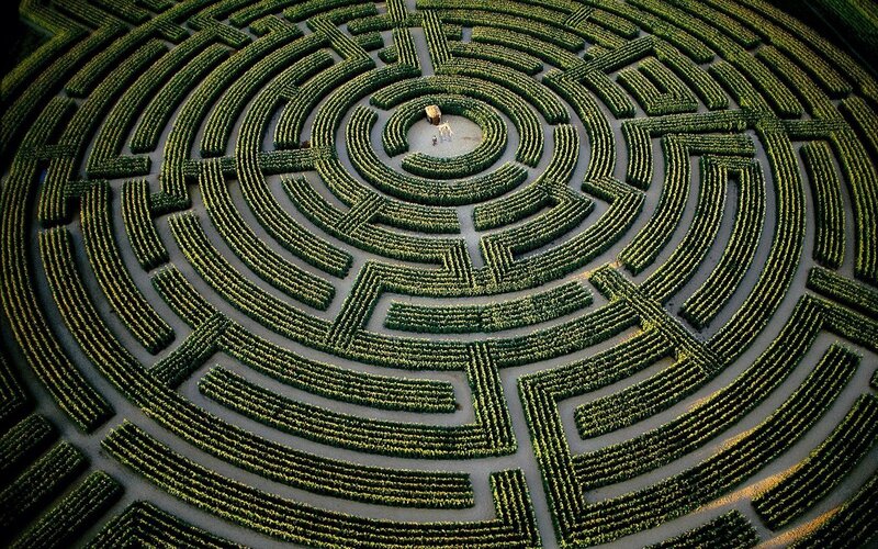 aerial view of a corn maze