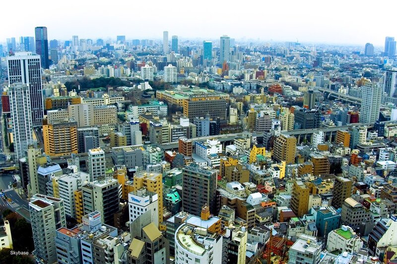 Aerial view of a dense city