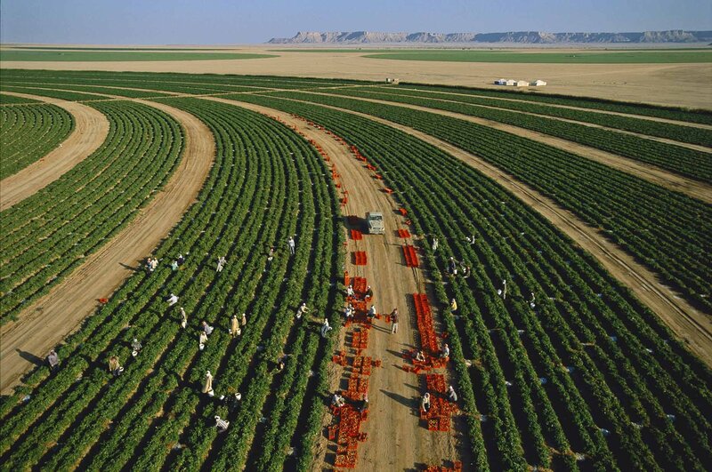 Aerial view of a farm field