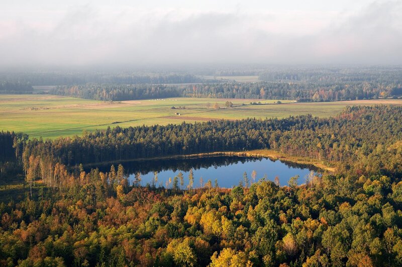 Aerial view of a forest lake