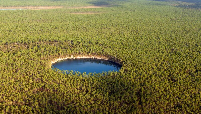 Aerial view of a forest lake