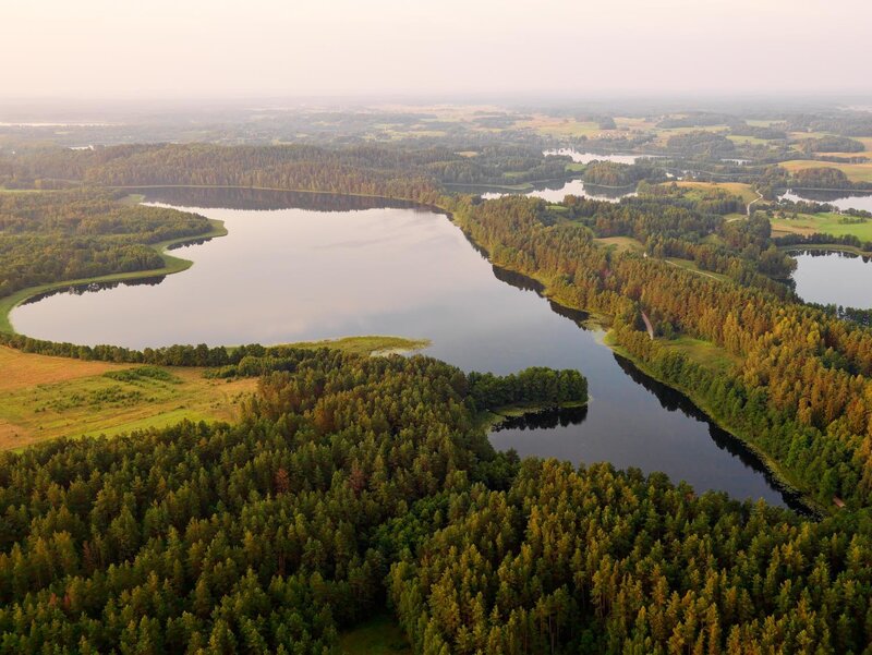 Aerial view of a forest lake