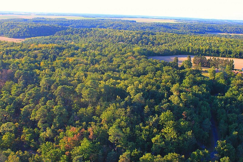 Aerial view of a forest landscape