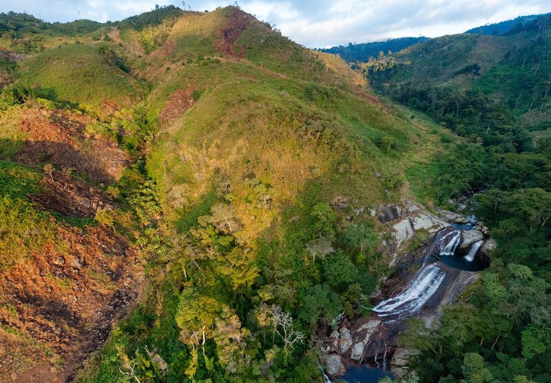 Aerial view of a forest waterfall