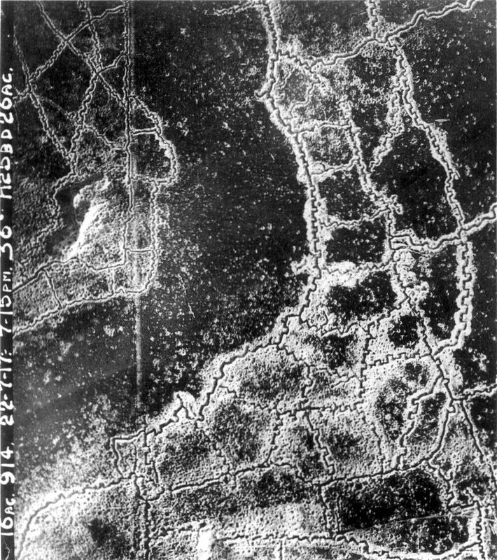 Aerial view of a forested area