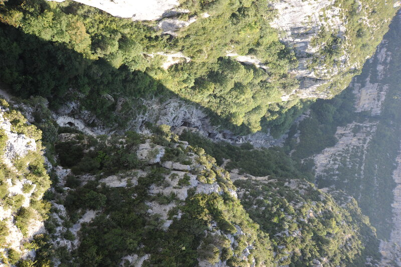 aerial view of a forested canyon