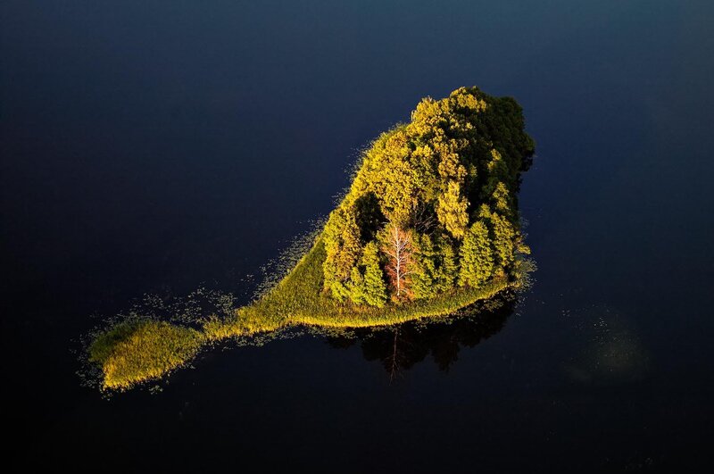 Aerial view of a forested island