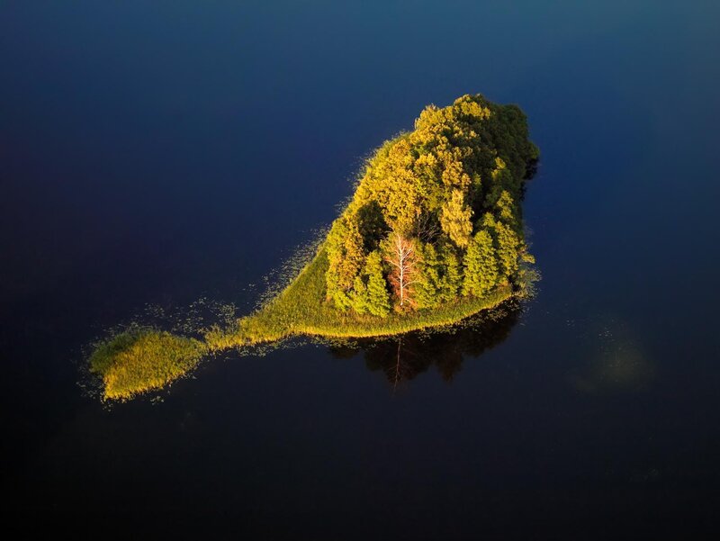 Aerial view of a forested island