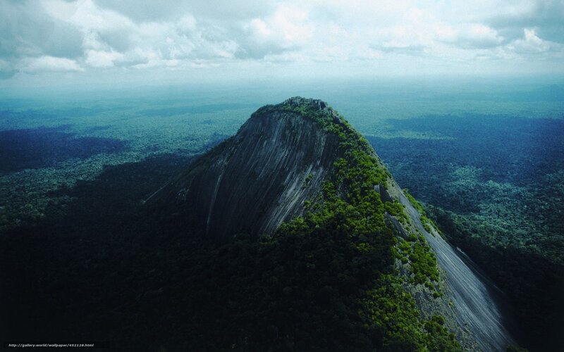 Aerial view of a forested mountain