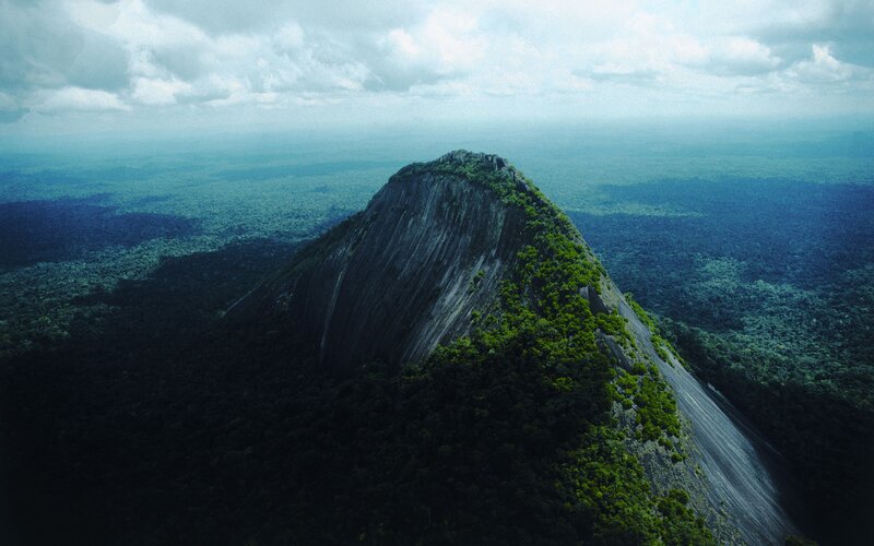 Aerial view of a forested mountain