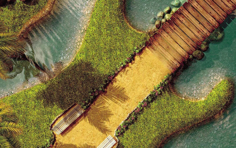 Aerial view of a garden path
