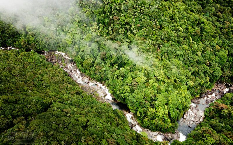 Aerial view of a jungle river