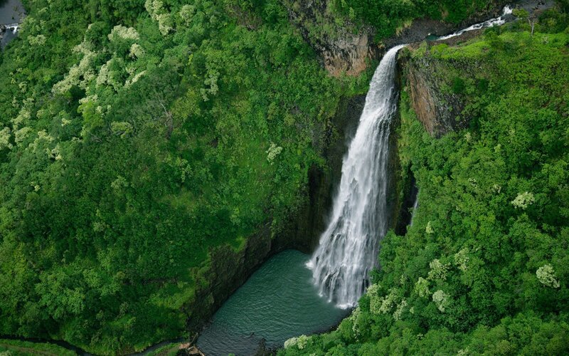 Aerial view of a lush waterfall