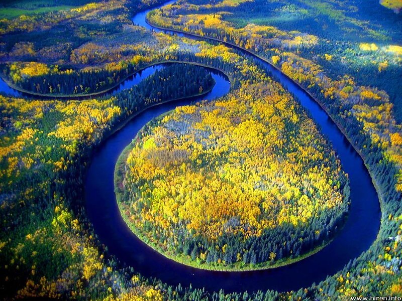Aerial view of a meandering river