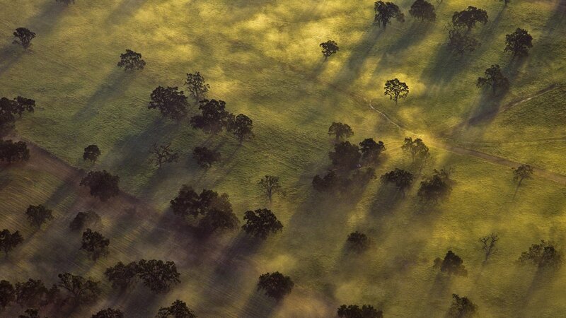 Aerial view of a misty field