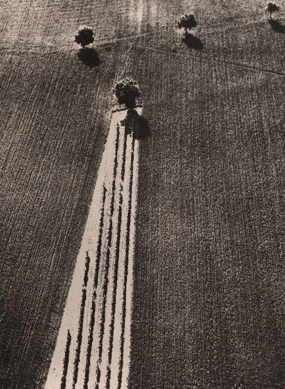 Aerial view of a plowed field