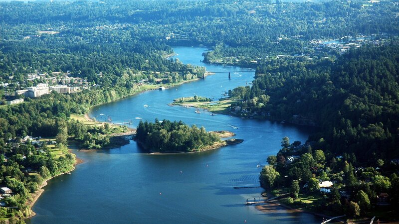 aerial view of a river and forest