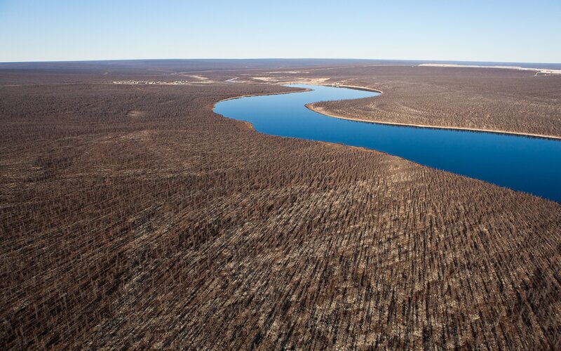 Aerial view of a river and forest