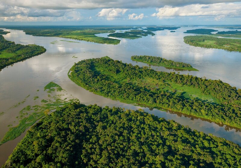 Aerial view of a river delta