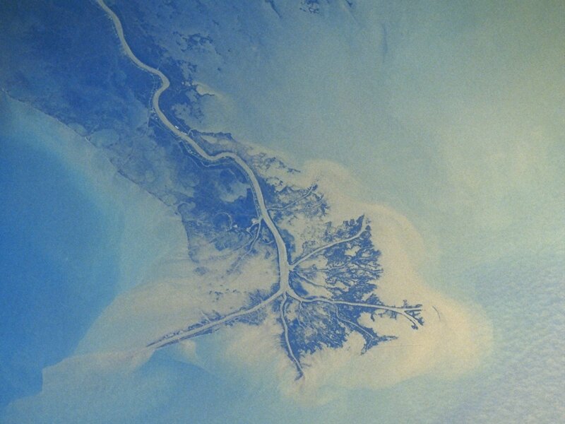 Aerial view of a river delta