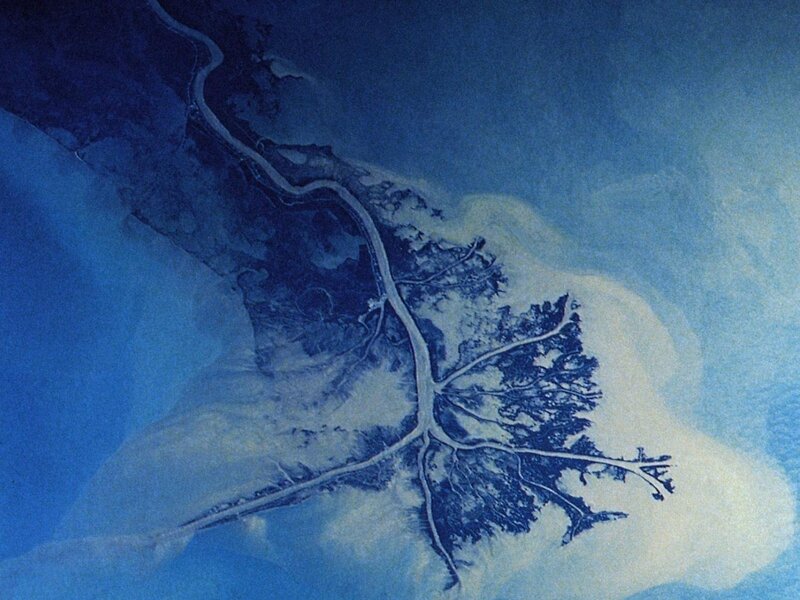 Aerial view of a river delta