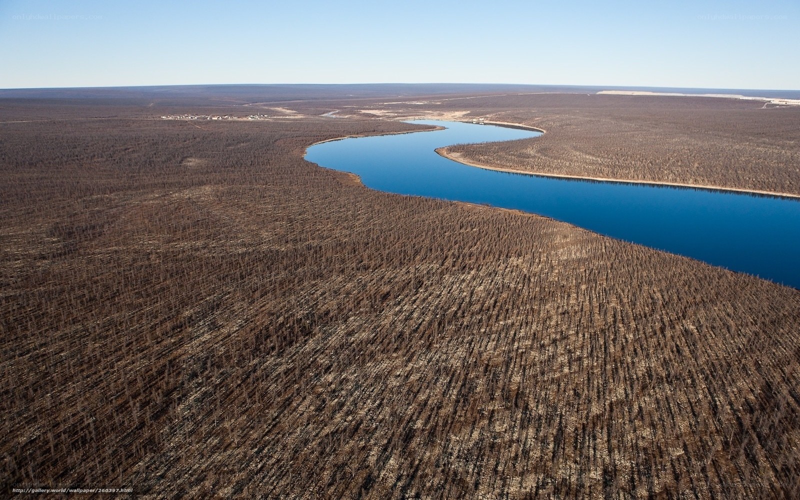 Aerial view of a river through a forest