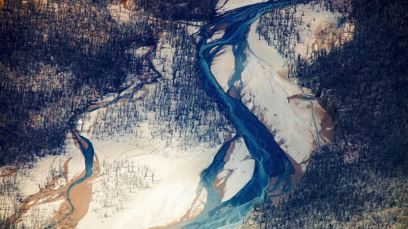 Aerial view of a river through burned forest