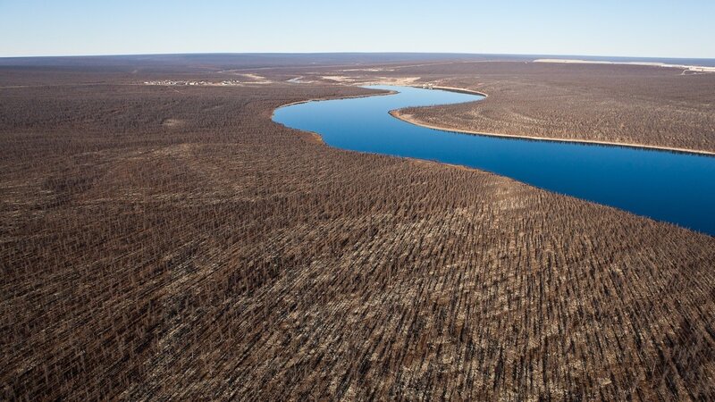 Aerial view of a river through burnt forest