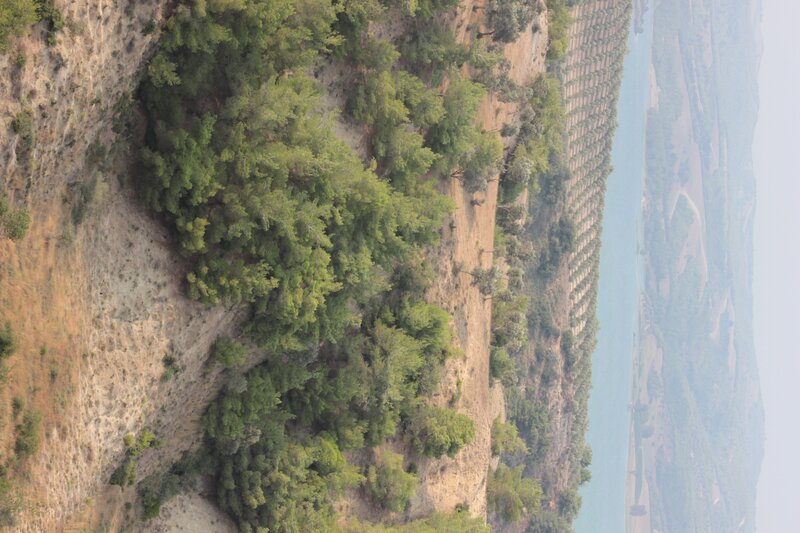 Aerial view of a river valley