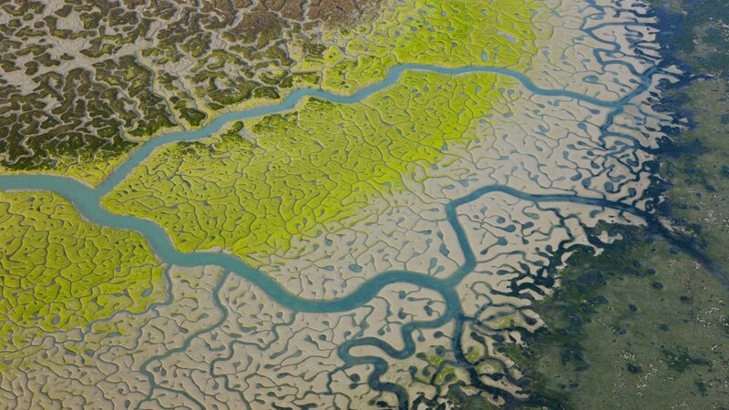 Aerial view of a tidal estuary