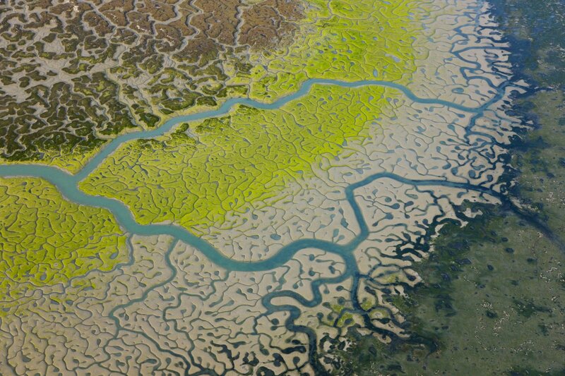 Aerial view of a tidal marsh