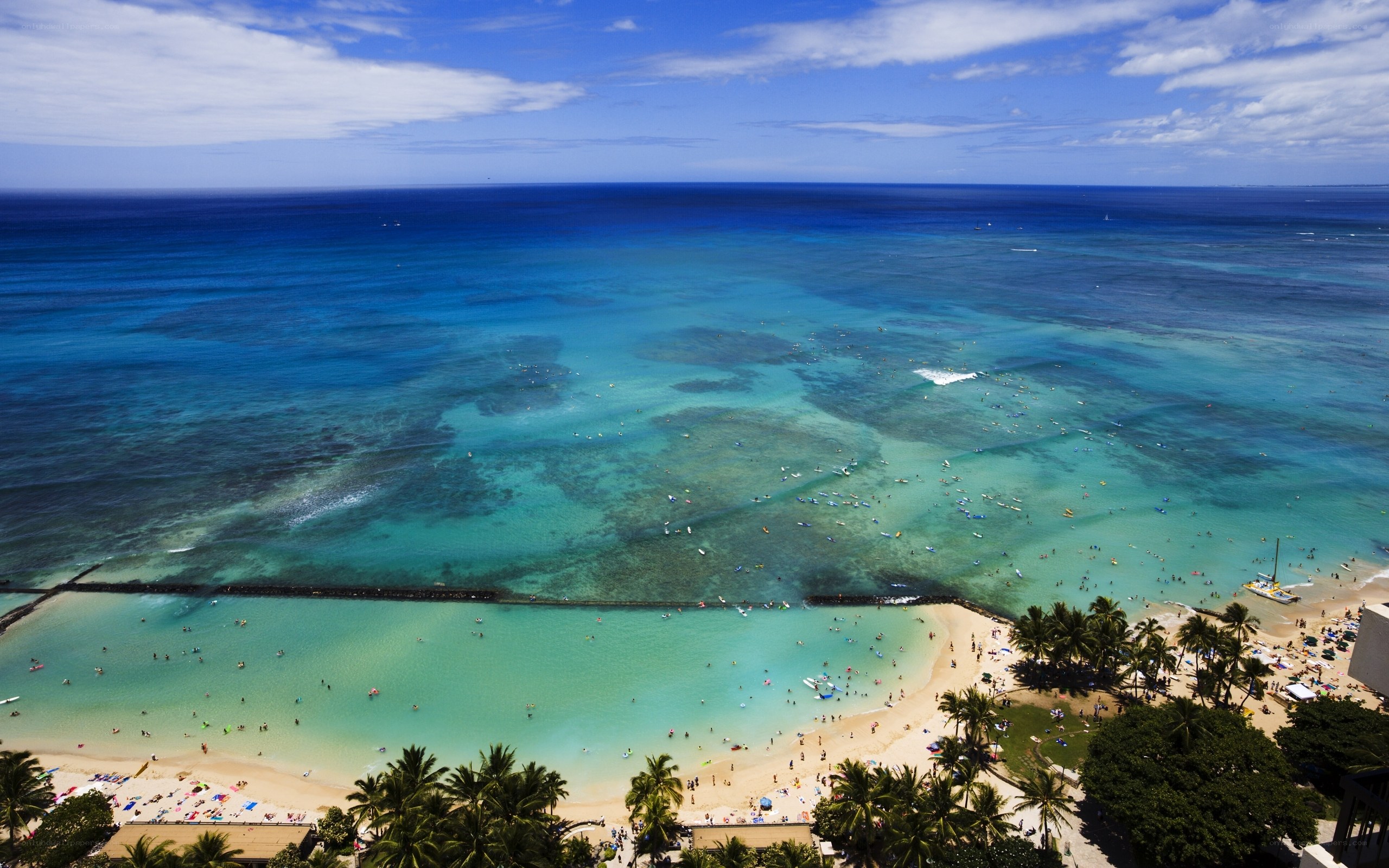 Aerial view of a tropical beach